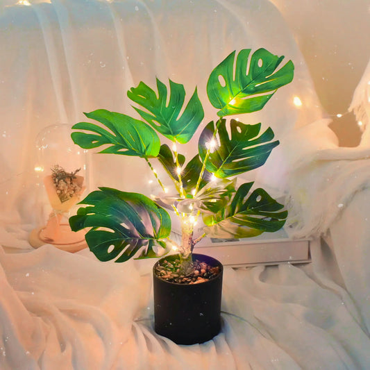 Enchanted Dream Lamp