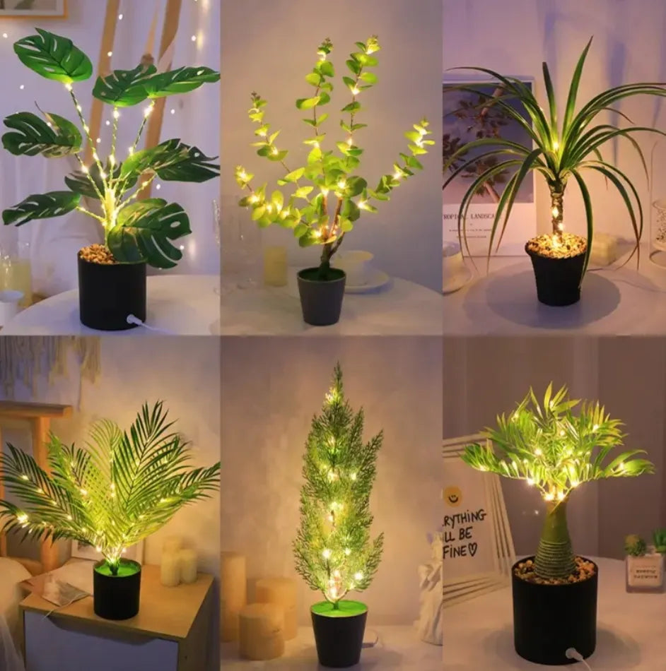 Enchanted Dream Lamp