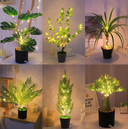 Enchanted Dream Lamp
