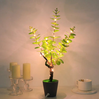 Enchanted Dream Lamp